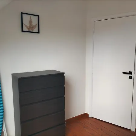 Apartment New Cozy In Porte De Hal
